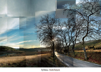 Art Print Pened Vineyards