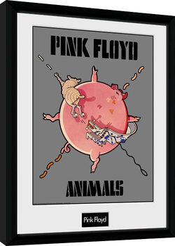Framed poster Pink Floyd - Animals