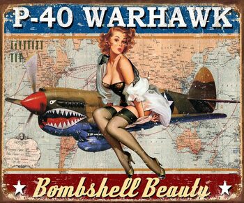 Placa metálica P-40 Warhawk