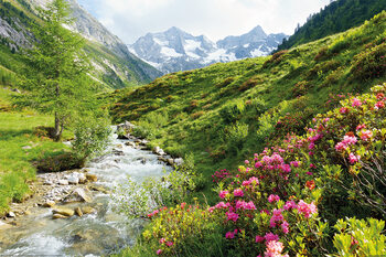 Plakat Alpy - Nature and Mountains