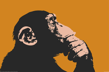 Plakat Apen - Thinking