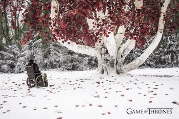 Plakat Game of Thrones - Weirwood