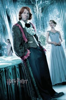 Plakat Harry Potter and the Goblet of Fire - Ron