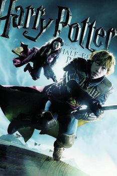 Plakat Harry Potter and The Half-Blood Prince - Quiditch