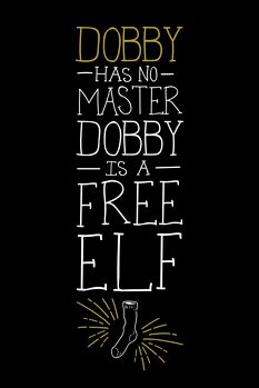Plakat Harry Potter - Free Dobby