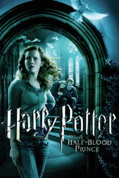 Plakat Harry Potter - Hermione Granger
