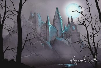 Plakat Harry Potter - Nocturnal Hogwarts Castlle
