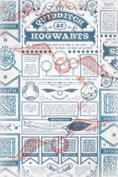 Plakat Harry Potter - Quidditch at Hogwarts