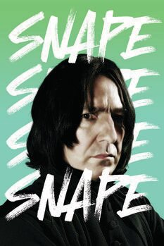 Plakat Harry Potter - Severus Snape