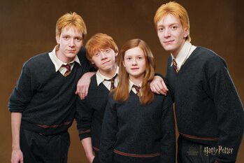 Plakat Harry Potter - Weasley family