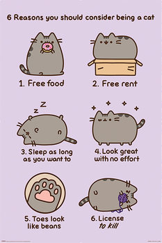 Plakat Pusheen - Reasons to be a Cat
