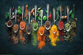 Plakat Spices