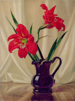 Slika na platnu Amaryllis Lillies