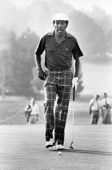 Slika na platnu Calvin Peete