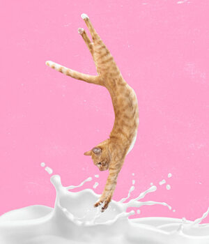 Poster Contemporary art collage, modern creative design.