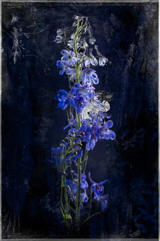 Poster Gloaming, 2018