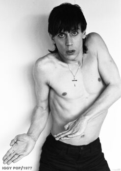 Poster Iggy Pop - Studio Shot, London February 1977