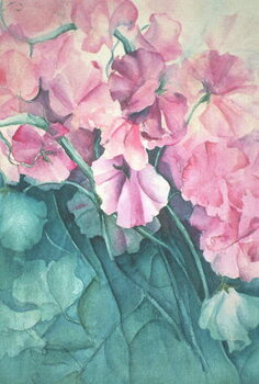 Slika na platnu Sweet Peas, Pink Pride