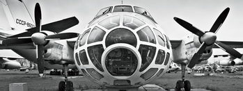 Γυάλινη τέχνη Plane - Black and White