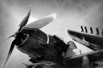 Γυάλινη τέχνη Plane - Black and White Screw