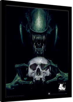 LV-426 warrior Wall Mural  Buy online at Europosters