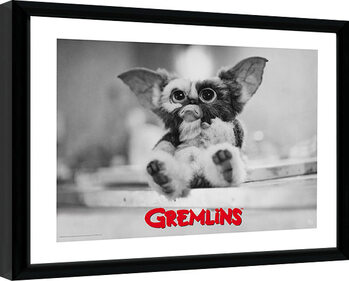 Framed poster Gremlins - Gizmo