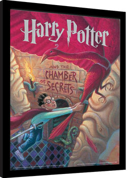 Framed poster Harry Potter - The Chamber of Secrets Book