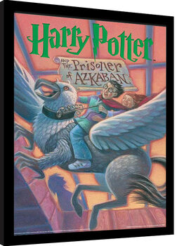 Framed poster Harry Potter - The Prisoner of Azkaban Book