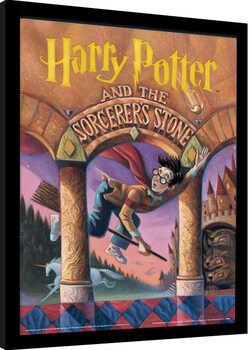 Framed poster Harry Potter - The Sorcerer‘s Stone Book
