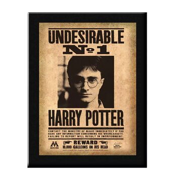 Framed poster Harry Potter - Undesirable No. 1