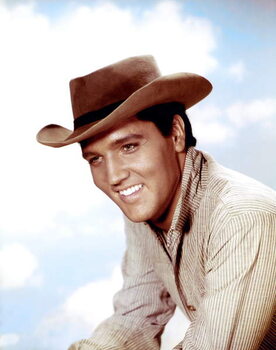 Slika na platnu Elvis Presley