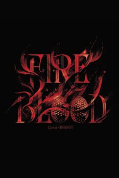 Slika na platnu Game of Thrones - Fire and Blood
