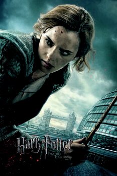 Slika na platnu Harry Potter - Hermione