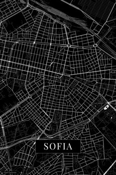 Slika na platnu Sofia black