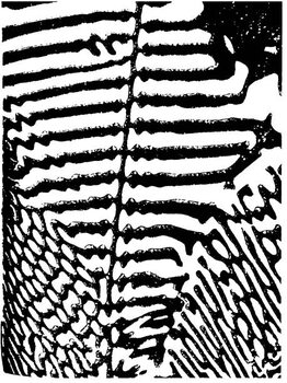 Slika na platnu Zebra Pattern