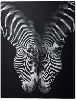 Slika na platnu Marina Cano - Together