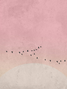 Illustration moonbird5