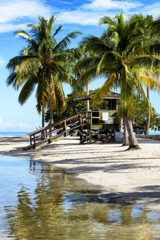 Art Print on Demand Paradisiacal Beach - Miami