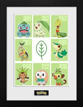 Framed Poster Pokemon - First Partner Grass