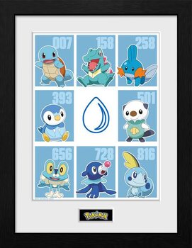 Framed Poster Pokemon - First Partner Water