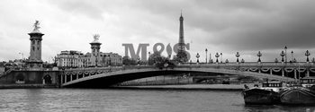 Художествен печат Pont Alexandre & Eiffel Tower