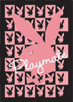 Framed 3D Poster PLAYMATE