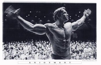 Poster Arnold Schwarzenegger - Enjoyment