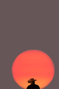 Poster Cowboy at sunrise.