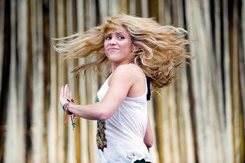 Slika na platnu Glastonbury Festival 2010