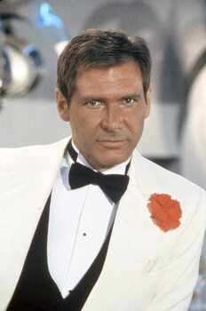 Slika na platnu Harrison Ford