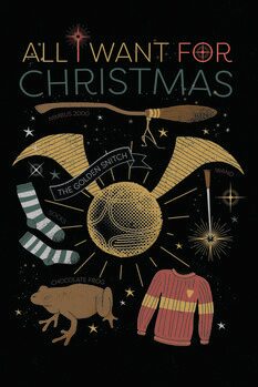 Poster Harry Potter - All I Want For Christmas