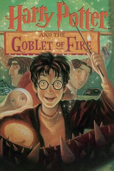 Slika na platnu Harry Potter - Goblet of Fire book cover