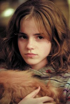 Slika na platnu Harry Potter - Hermione Granger