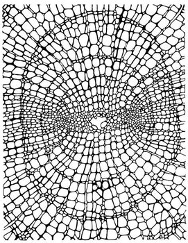 Poster Organic Dot Pattern
